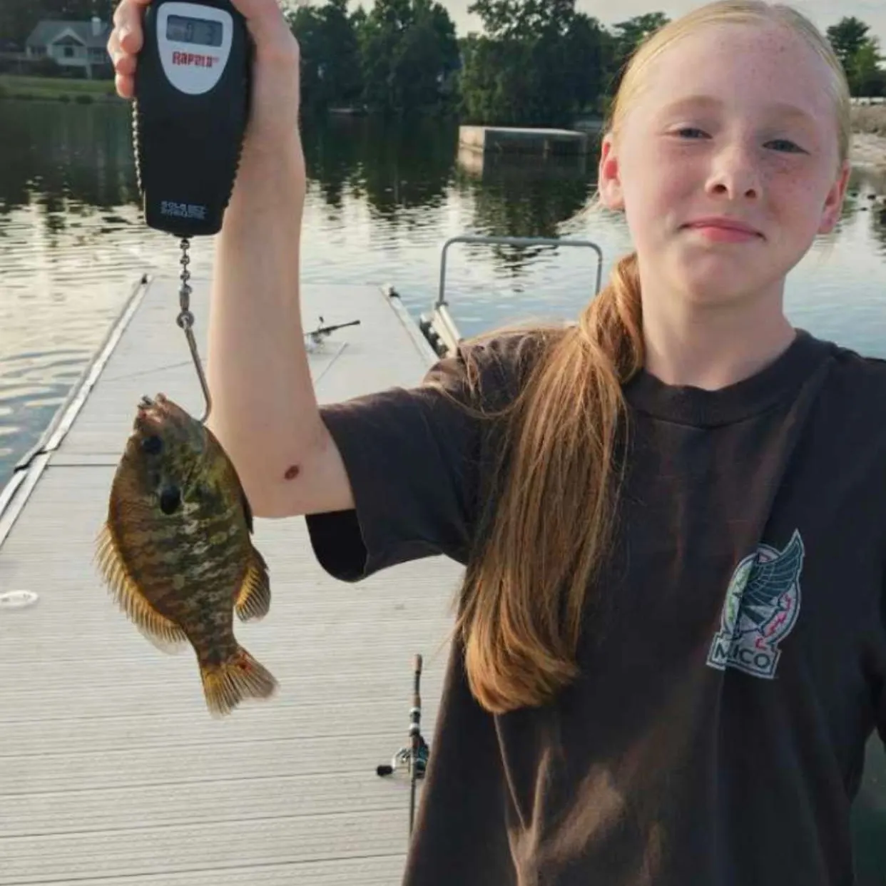 Bluegill caught on Fishbrain