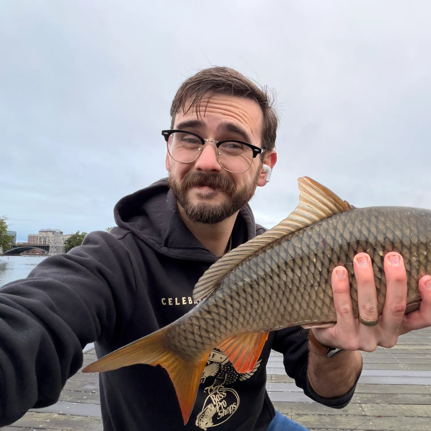 Common carp caught on Fishbrain
