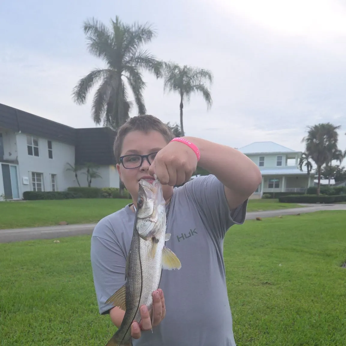 Common snook caught on Fishbrain