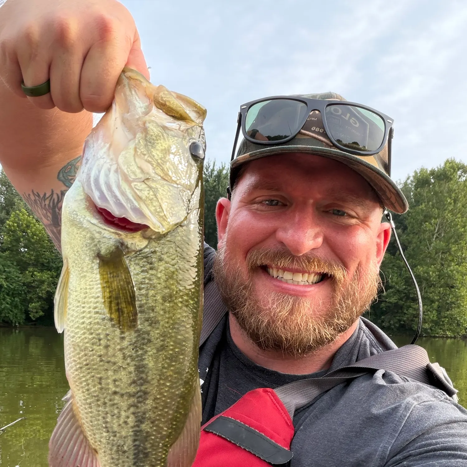 Largemouth bass caught on Fishbrain