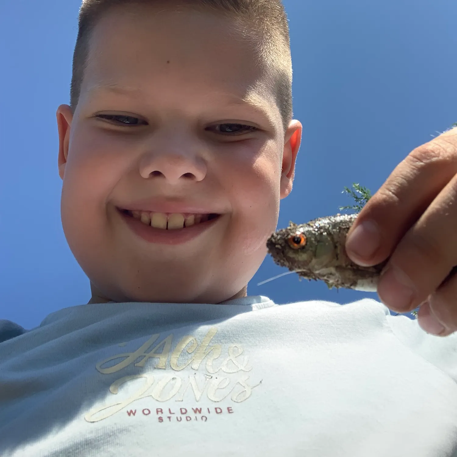 Common roach caught on Fishbrain