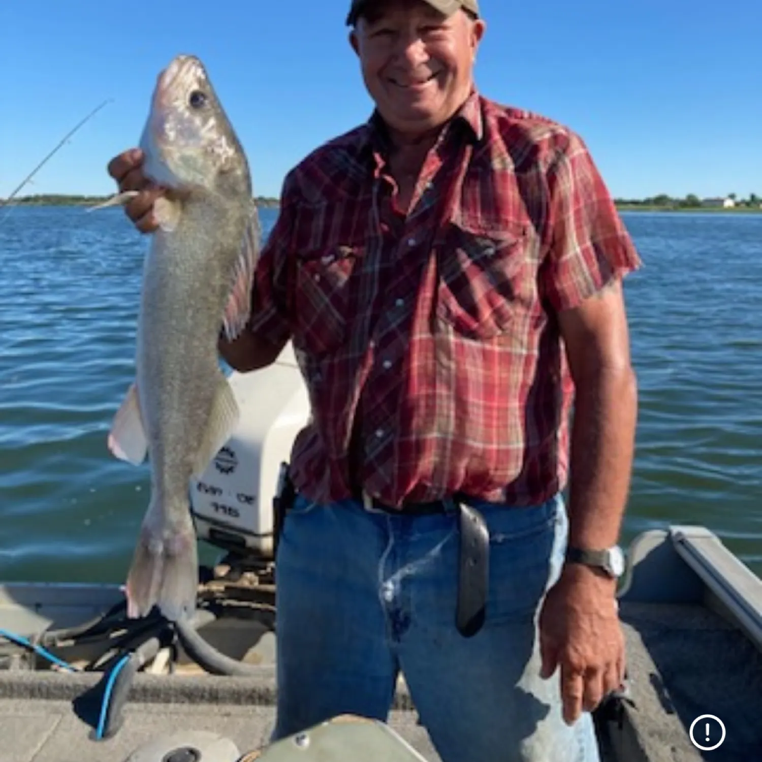 The most recent Walleye catches on Fishbrain