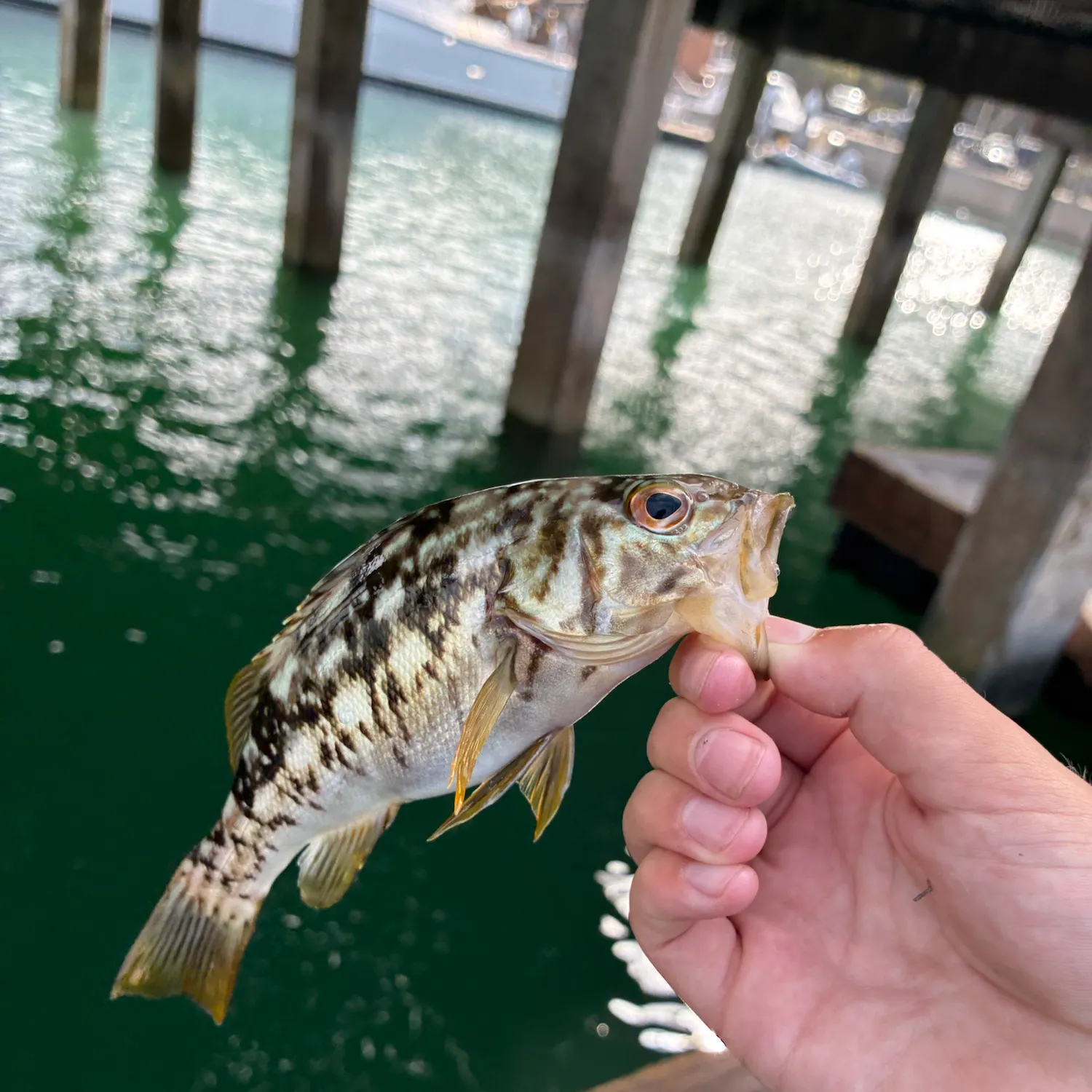 catch
