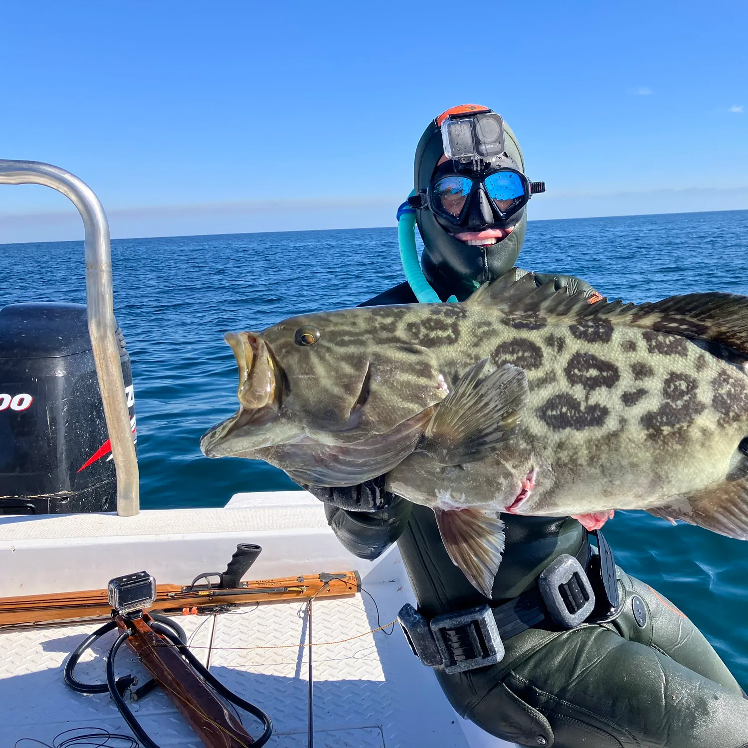 The most popular recent Broomtail grouper catch on Fishbrain