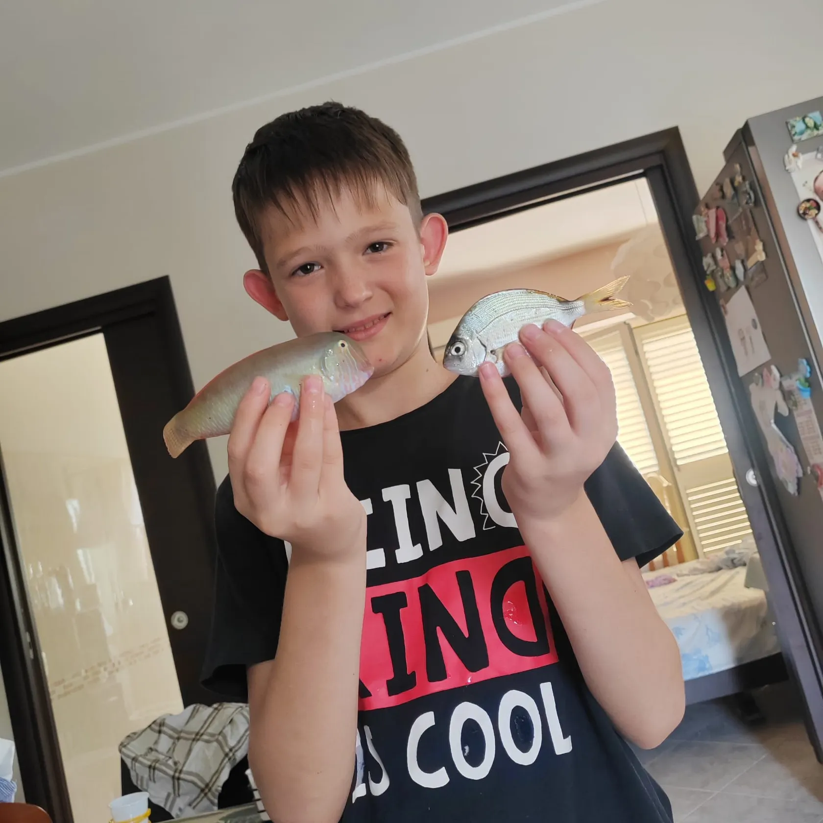 The most recent Pearly razorfish catches on Fishbrain