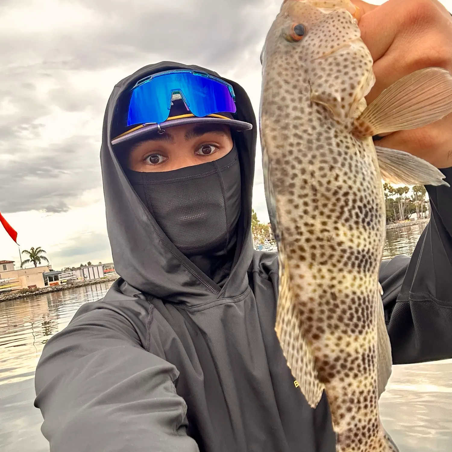 Spotted sand bass caught on Fishbrain