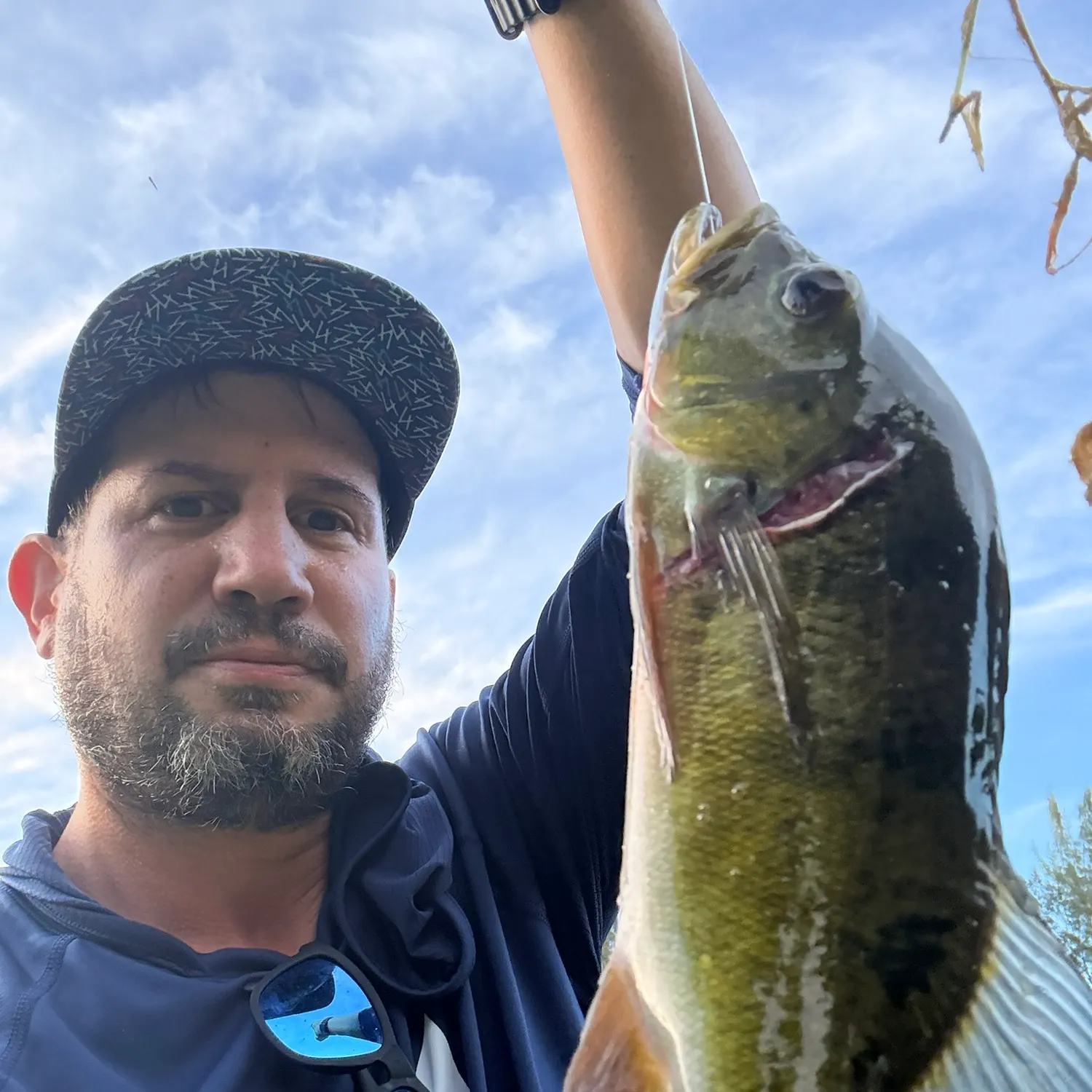 Butterfly peacock bass caught on Fishbrain