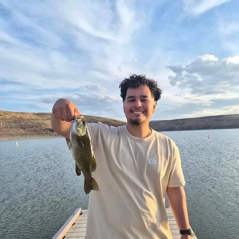 Smallmouth bass caught on Fishbrain