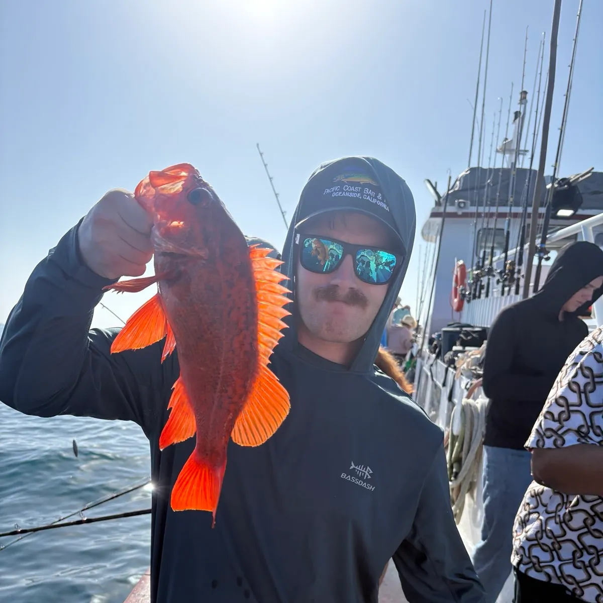 The most recent Vermilion rockfish catches on Fishbrain