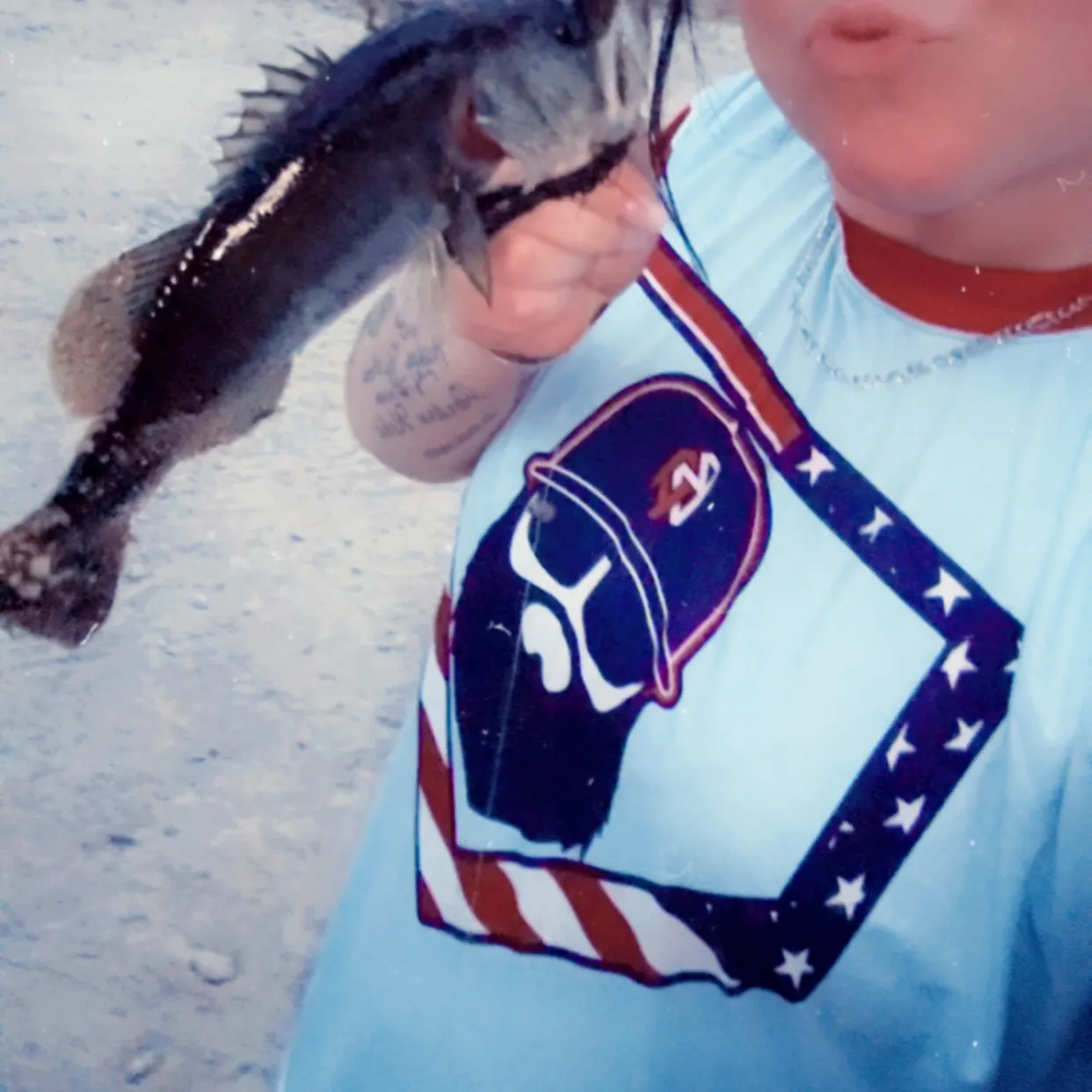 The most recent Cobia catches on Fishbrain