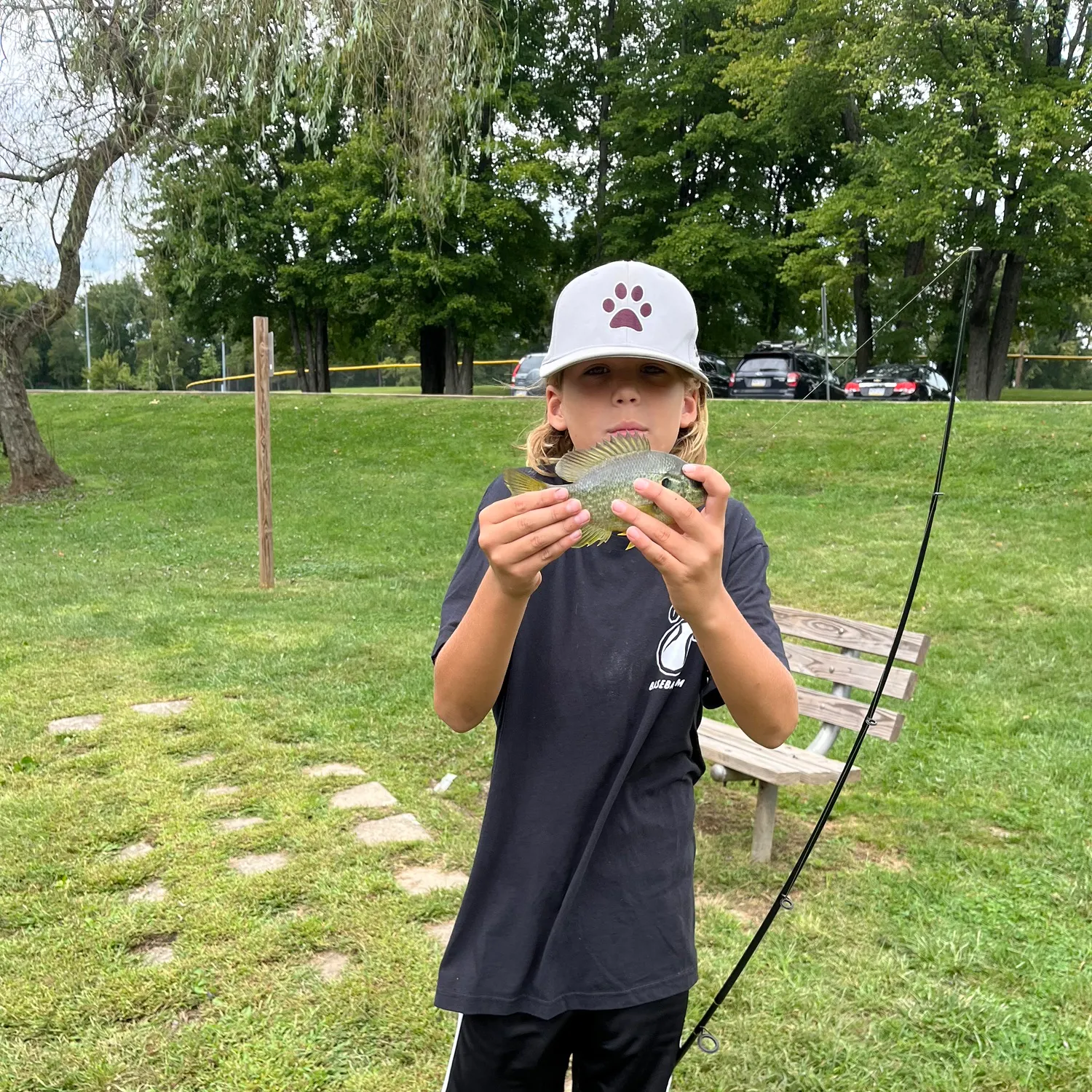 Bluegill caught on Fishbrain