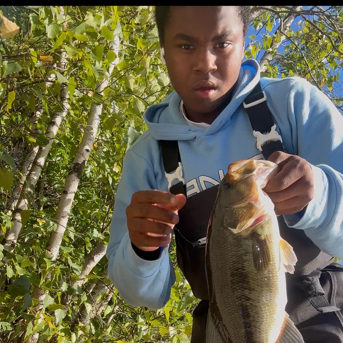 Largemouth bass caught on Fishbrain