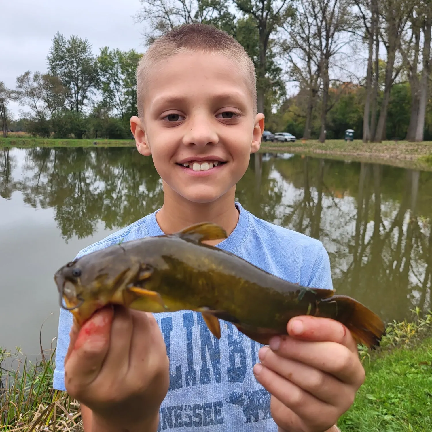 Yellow bullhead caught on Fishbrain