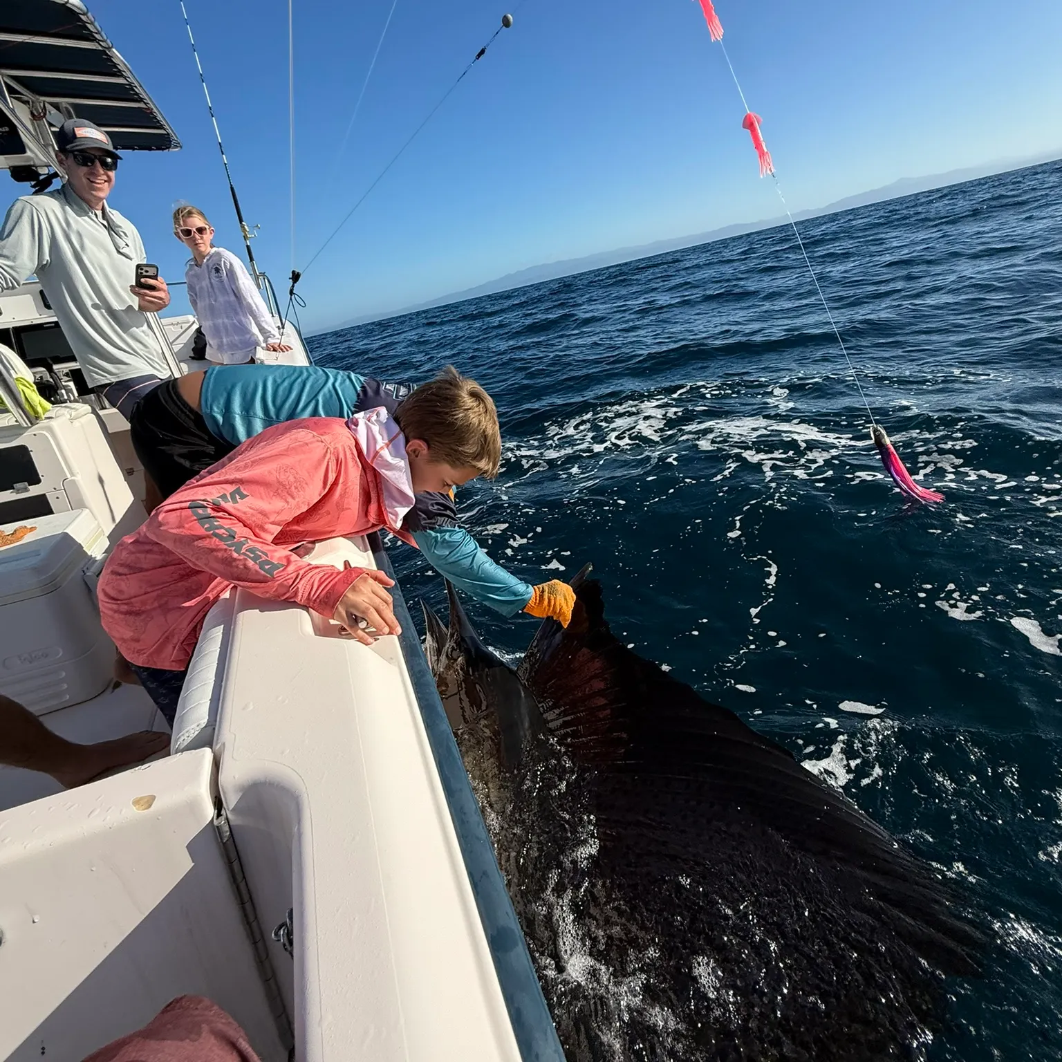 The most recent Indo-Pacific sailfish catches on Fishbrain