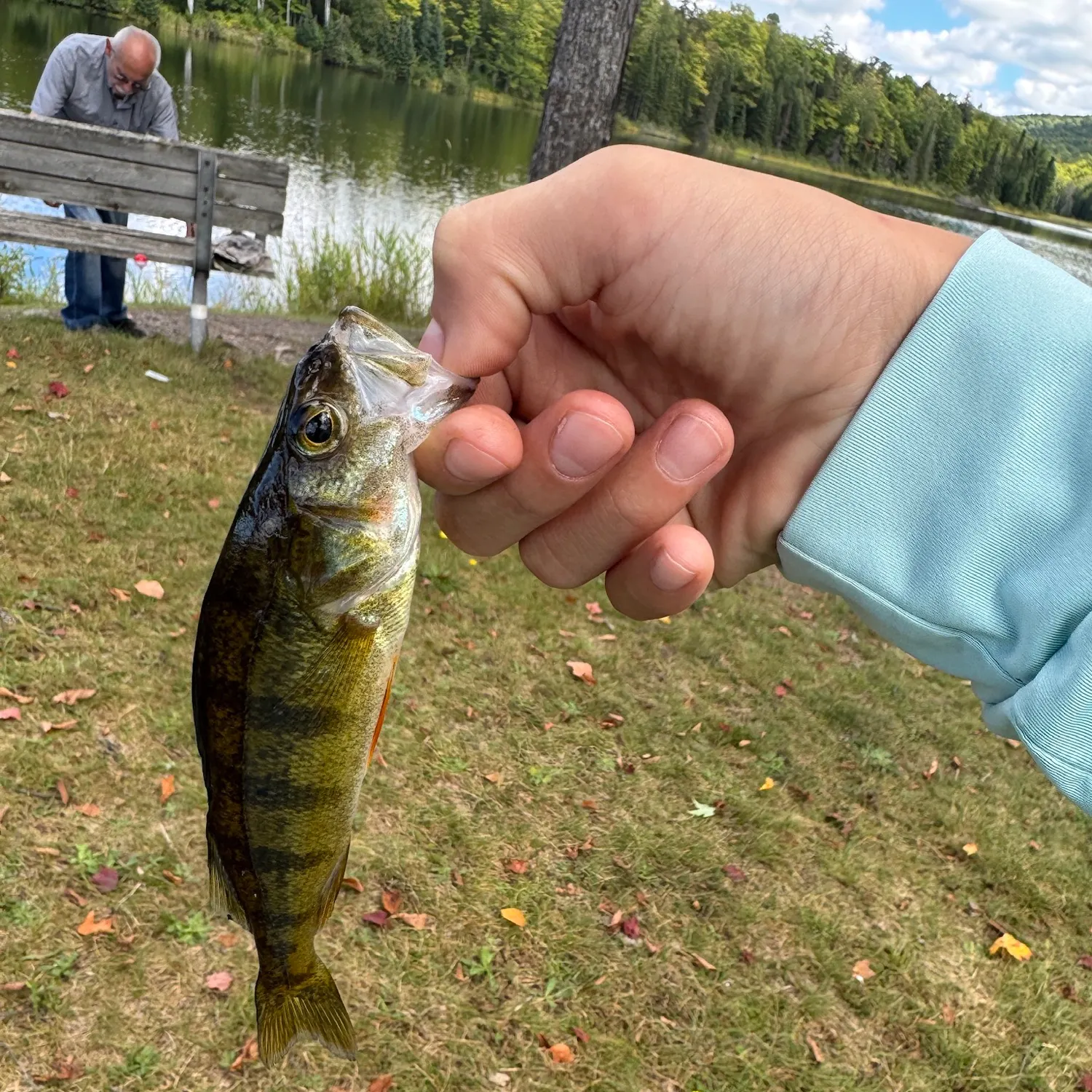 catch