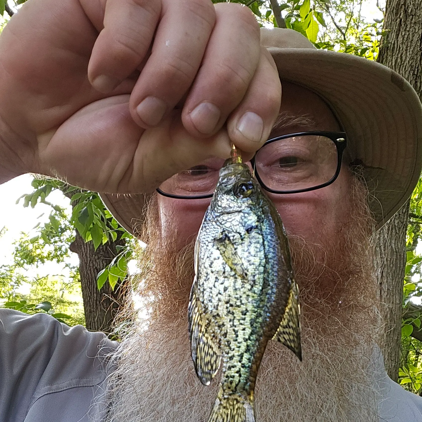 angler catch