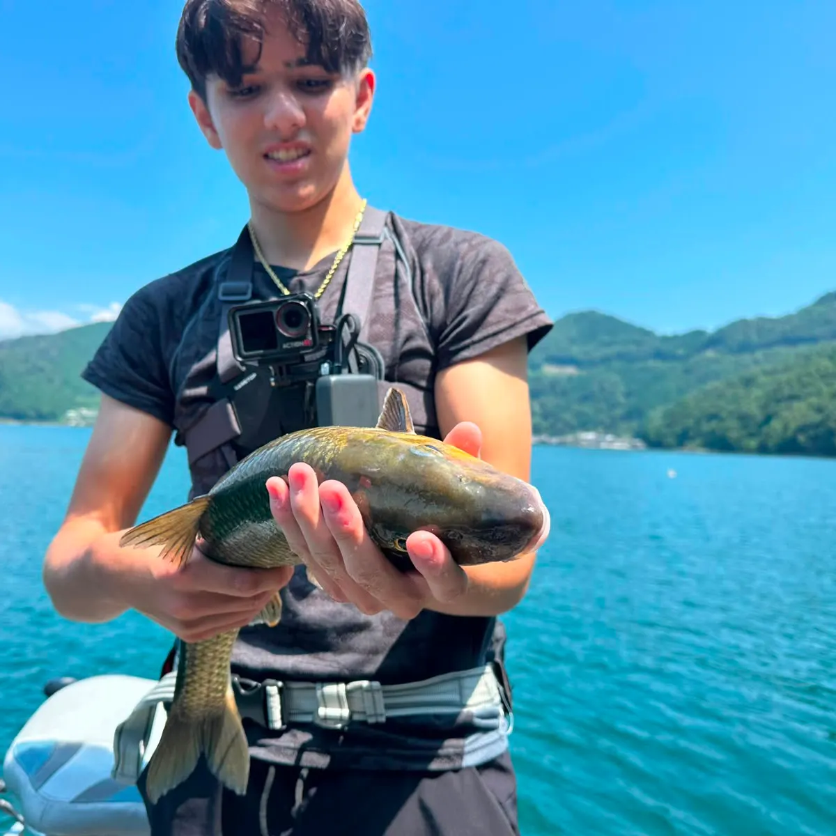 The most recent Barbel steed catches on Fishbrain