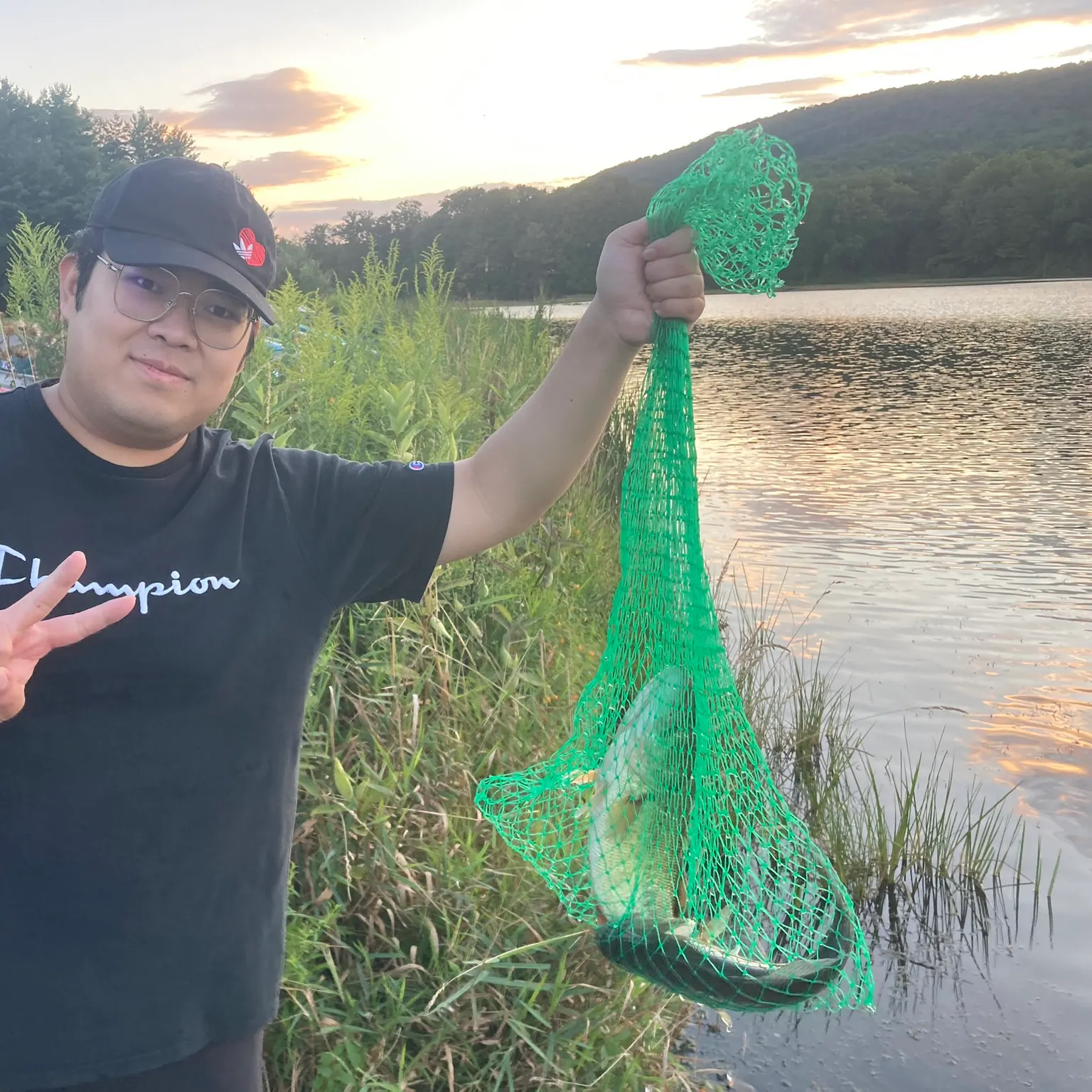 The most recent Largemouth bass catches on Fishbrain