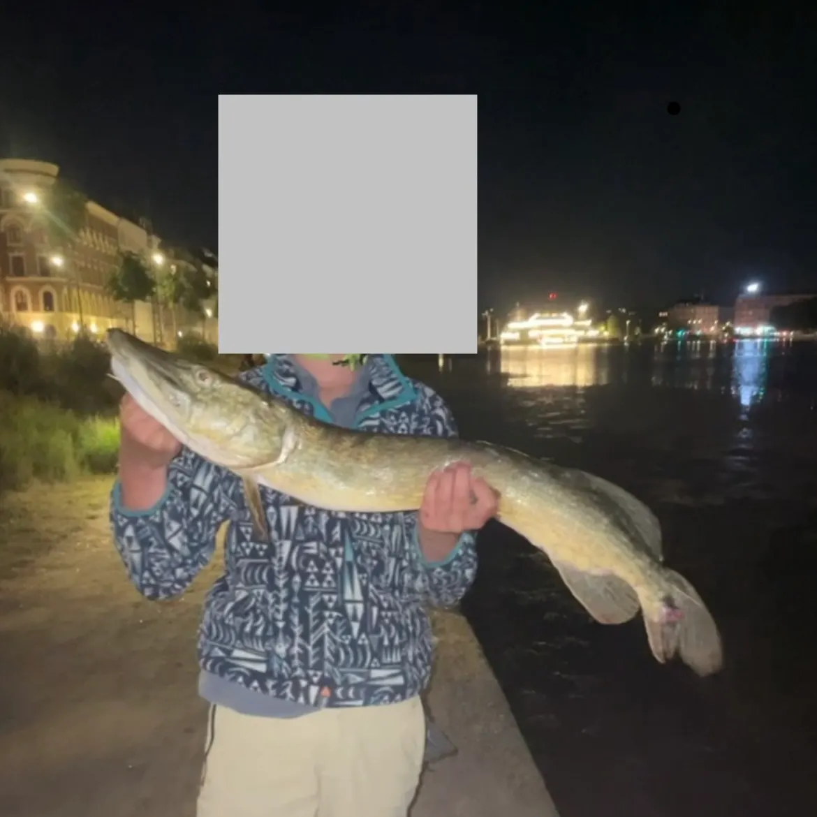 Northern pike caught on Fishbrain