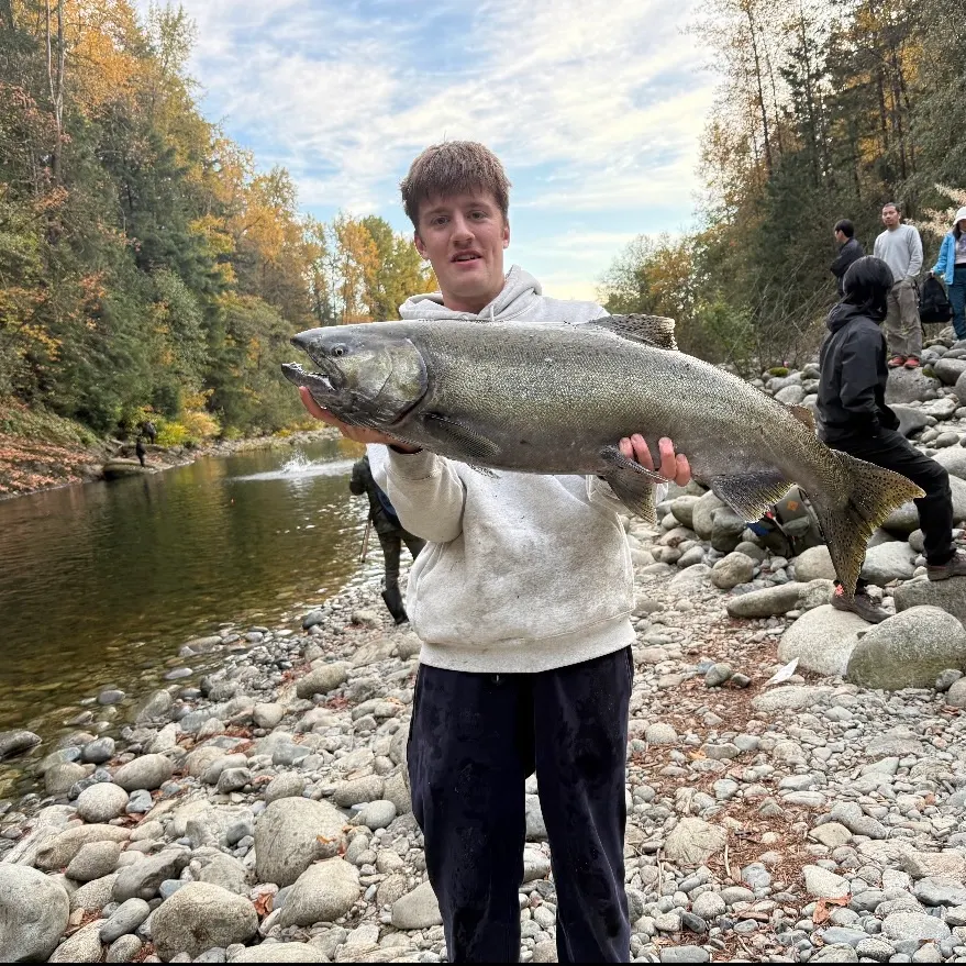 Chinook salmon caught on Fishbrain