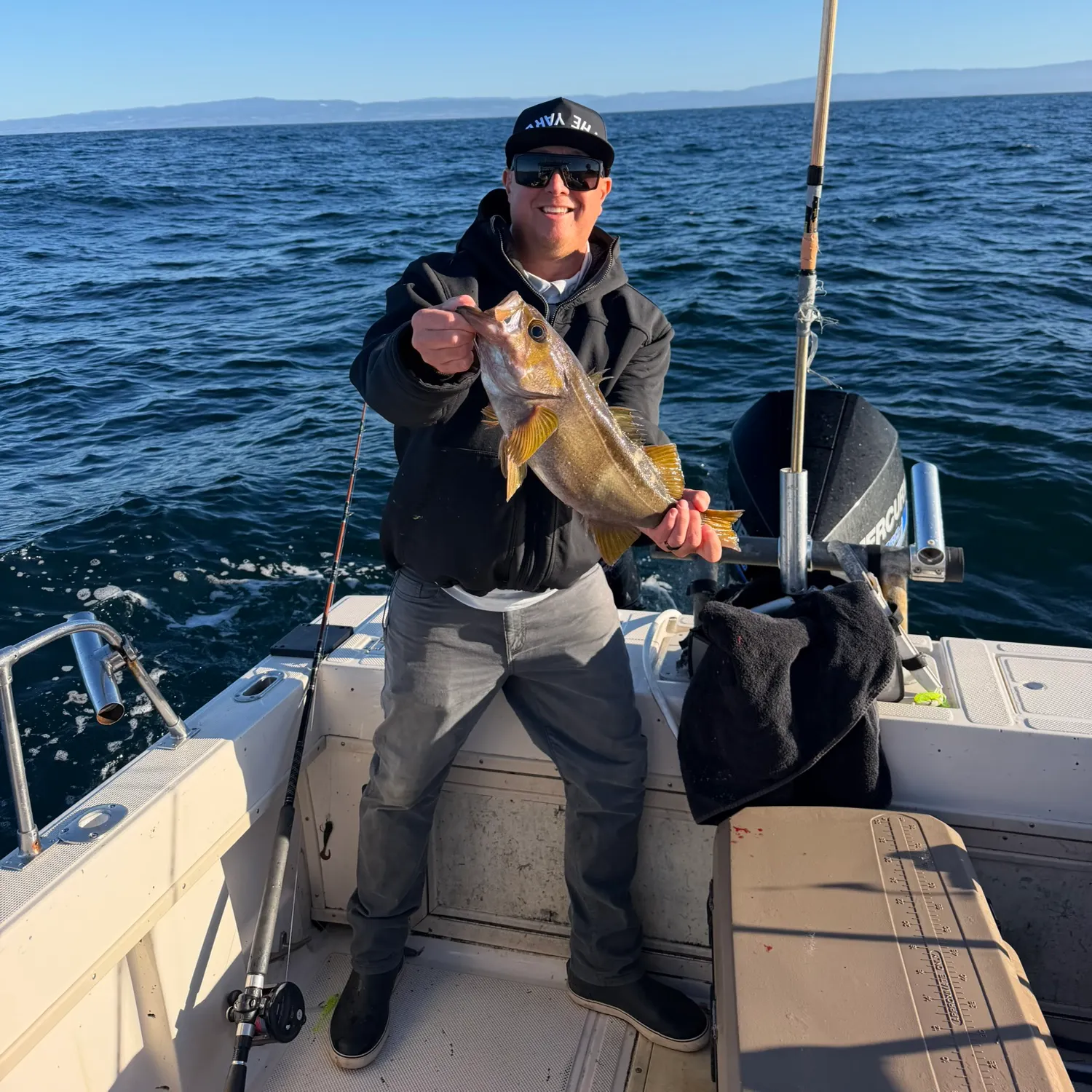 The most recent Yellowtail rockfish catches on Fishbrain