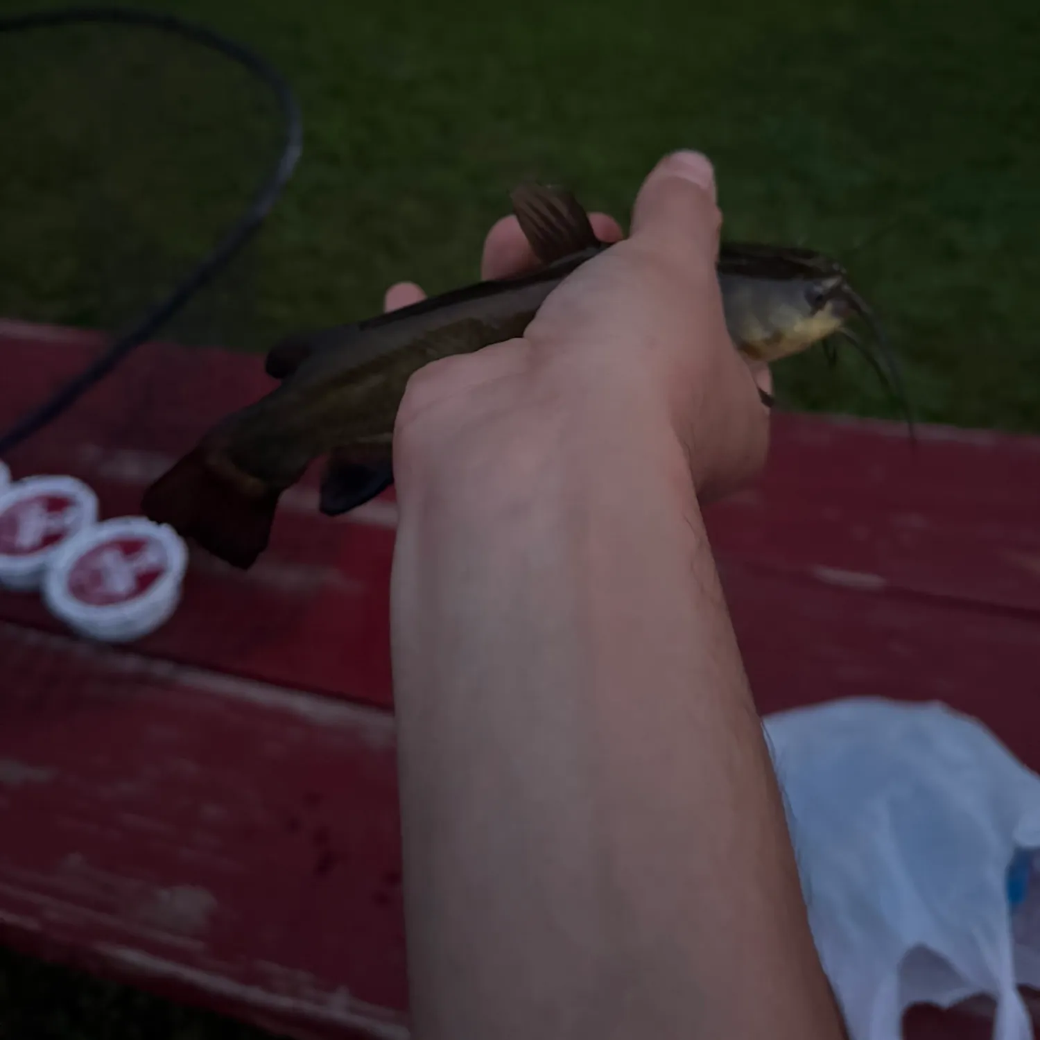catch