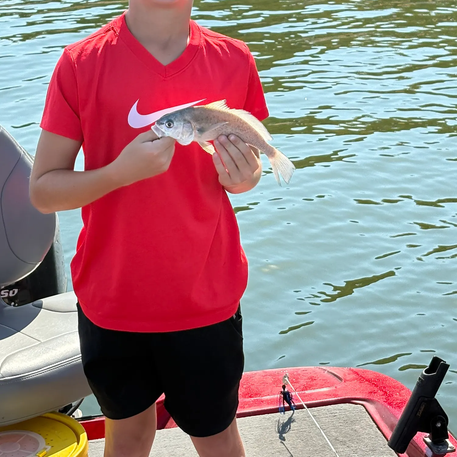 Freshwater drum caught on Fishbrain