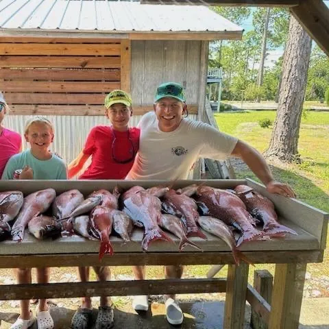 The most recent African brown snapper catches on Fishbrain