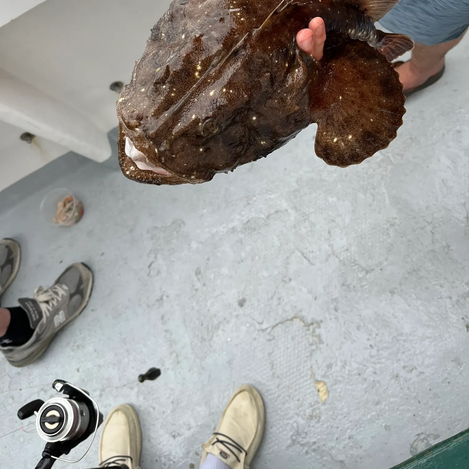 The most recent Yellow goosefish catches on Fishbrain