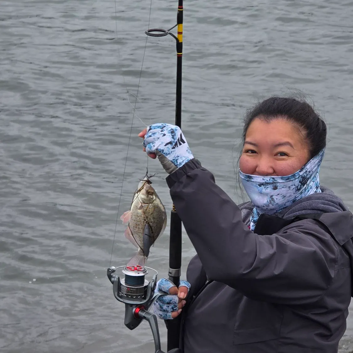 The most recent Redtail surfperch catches on Fishbrain