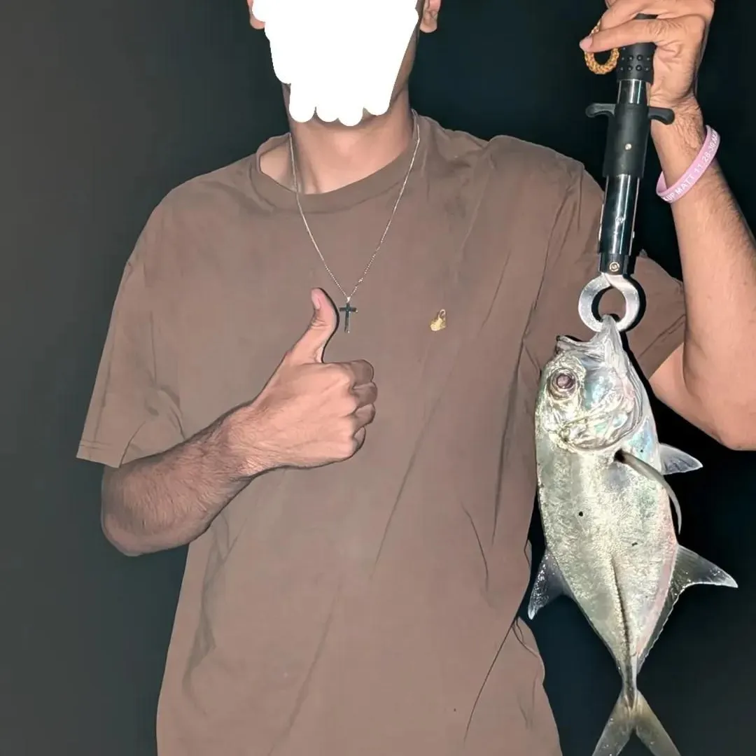 The most recent Giant trevally catches on Fishbrain