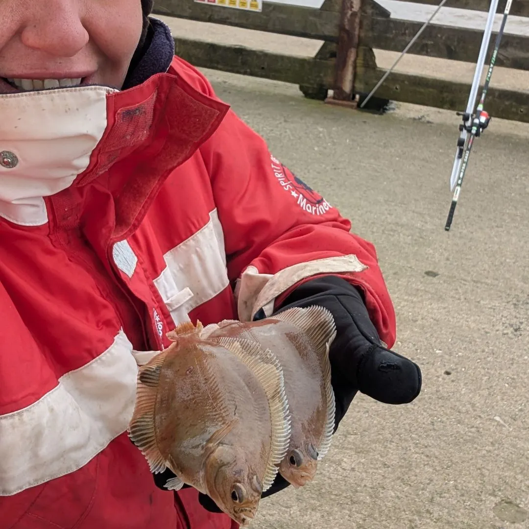 The most recent Common dab catches on Fishbrain