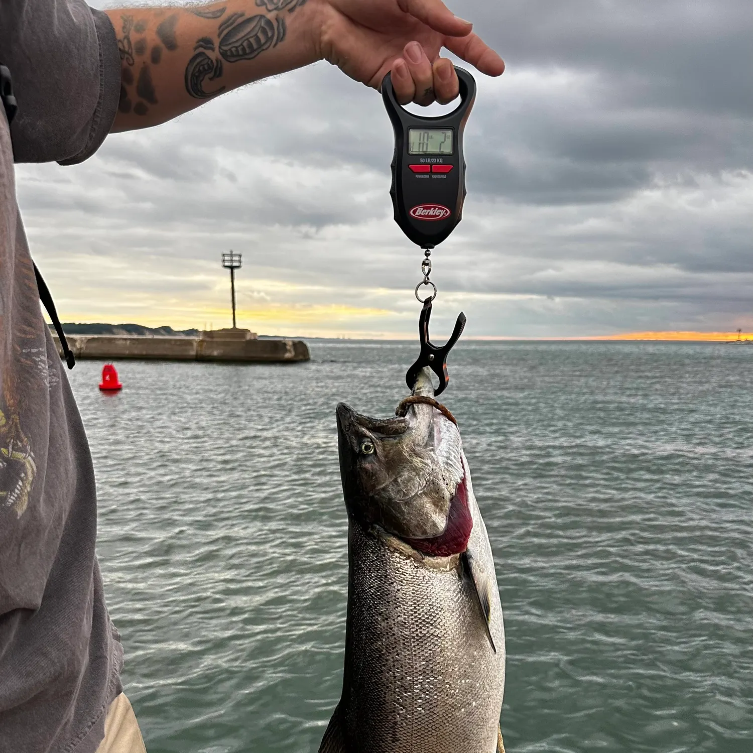 Chinook salmon caught on Fishbrain