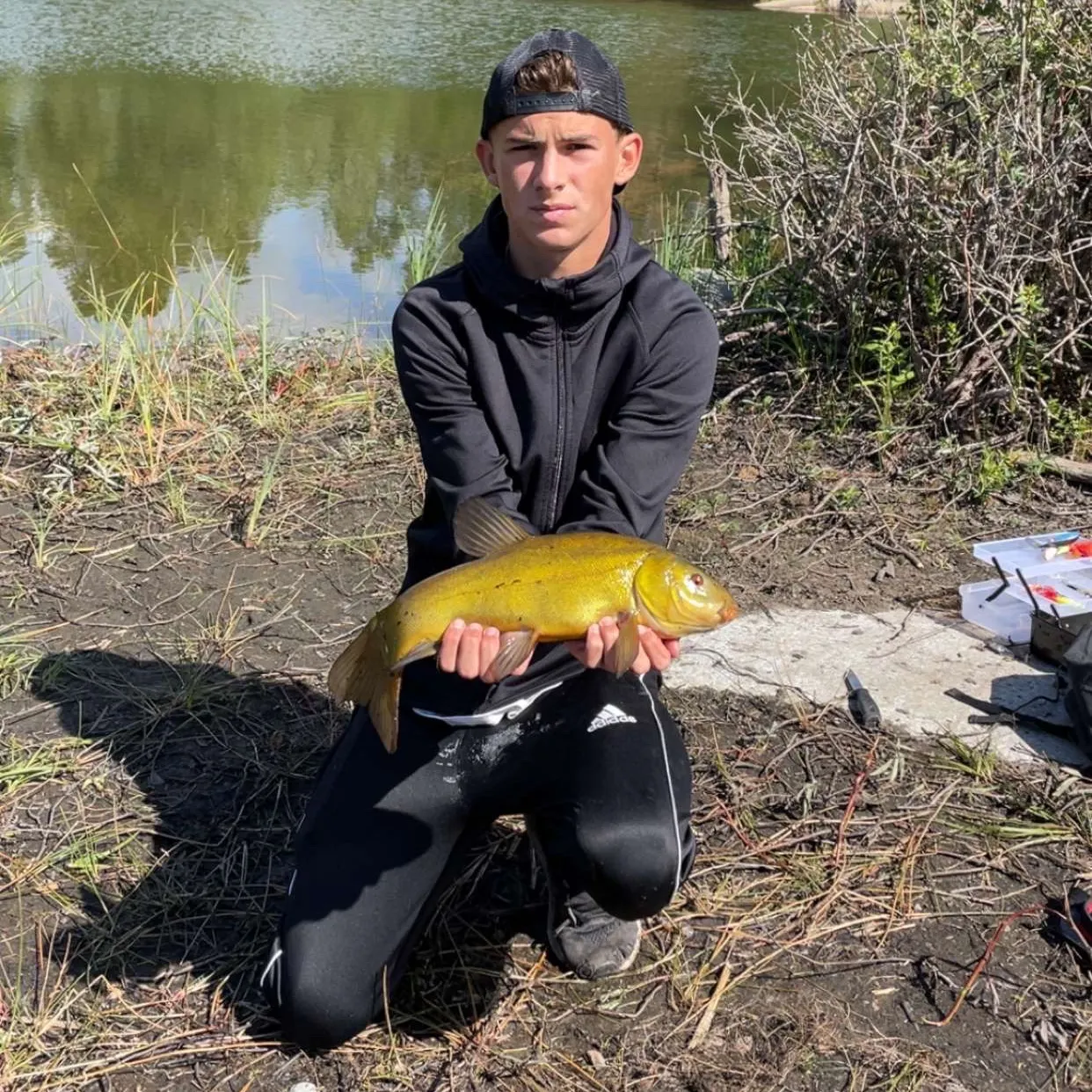 The most recent Tench catches on Fishbrain