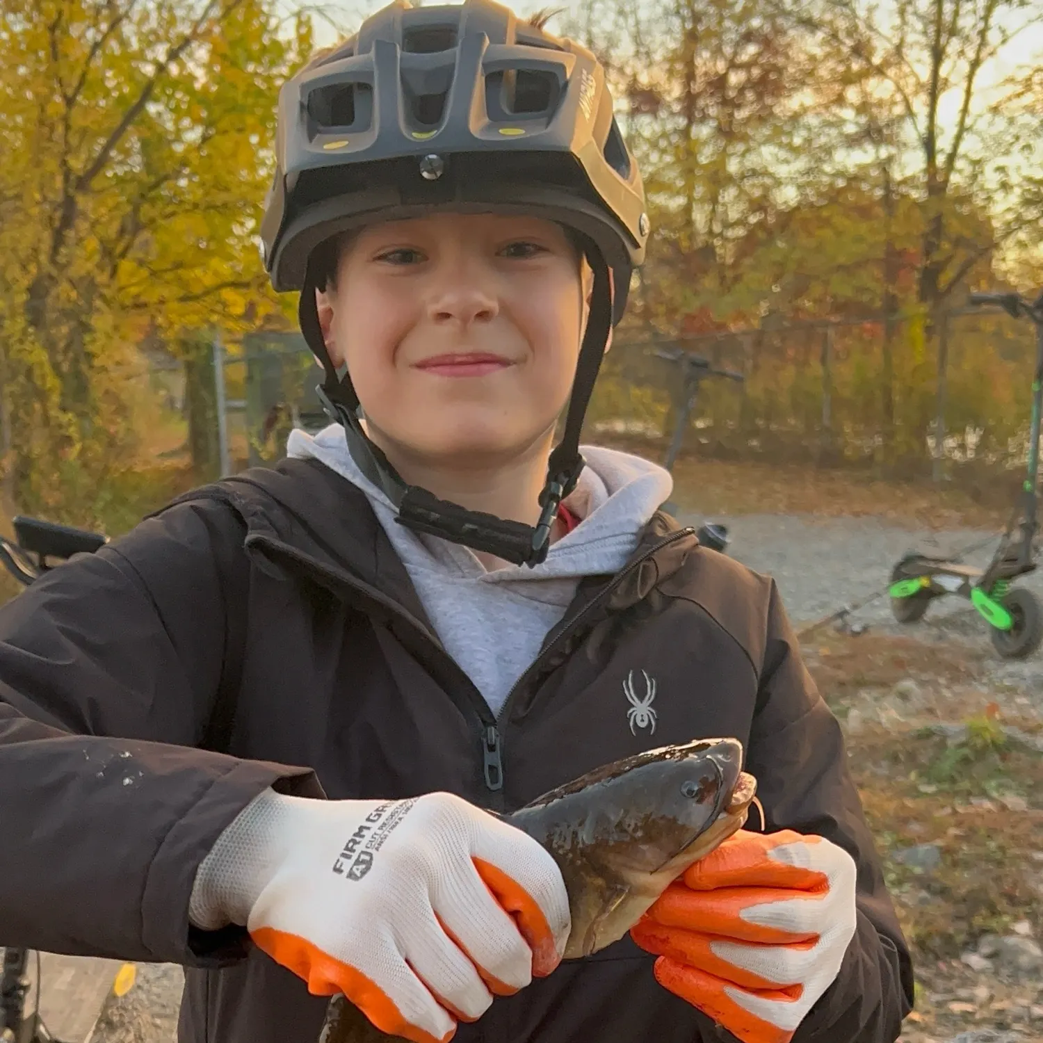 Yellow bullhead caught on Fishbrain