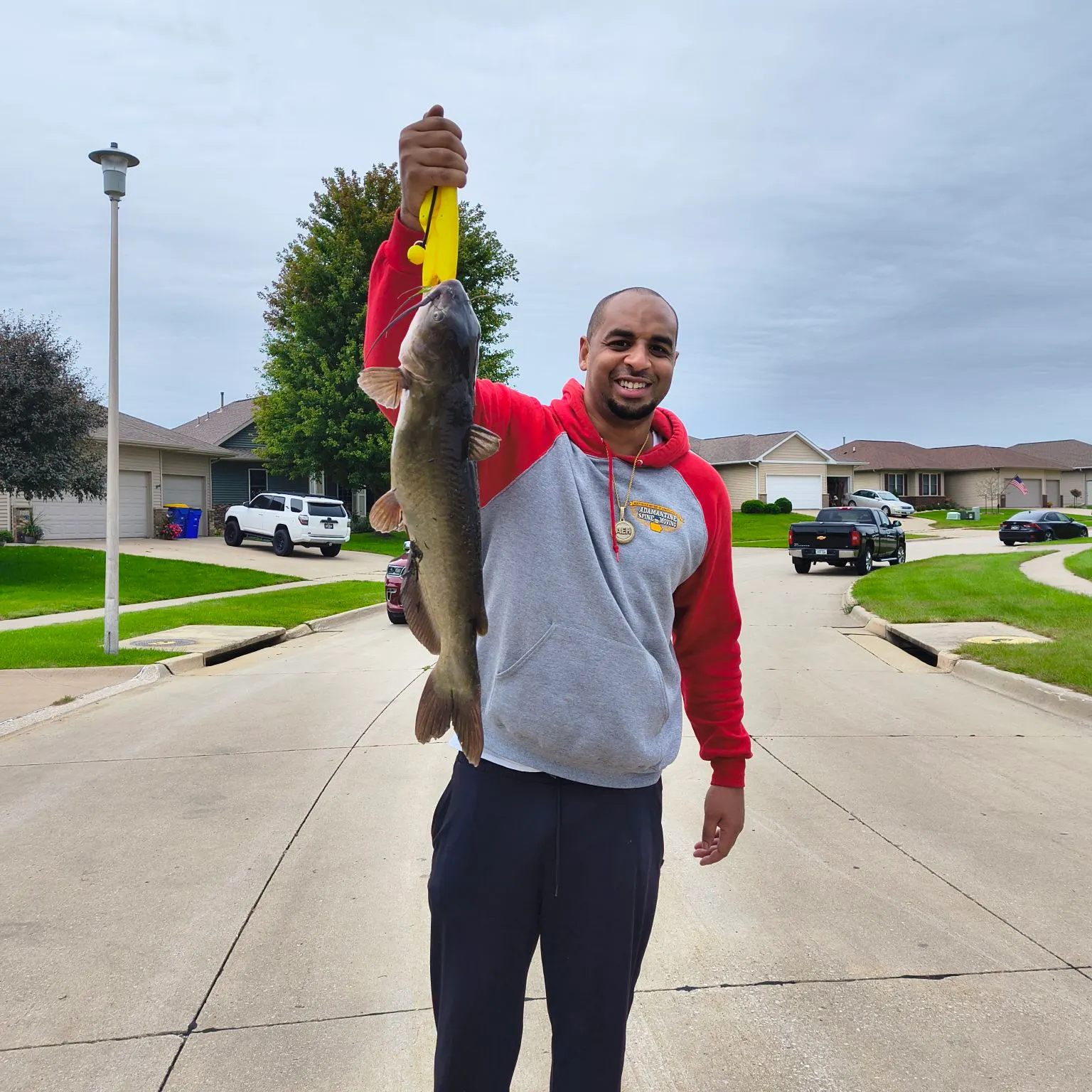 Channel catfish caught on Fishbrain