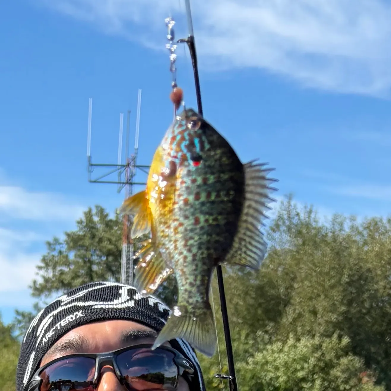 Pumpkinseed caught on Fishbrain