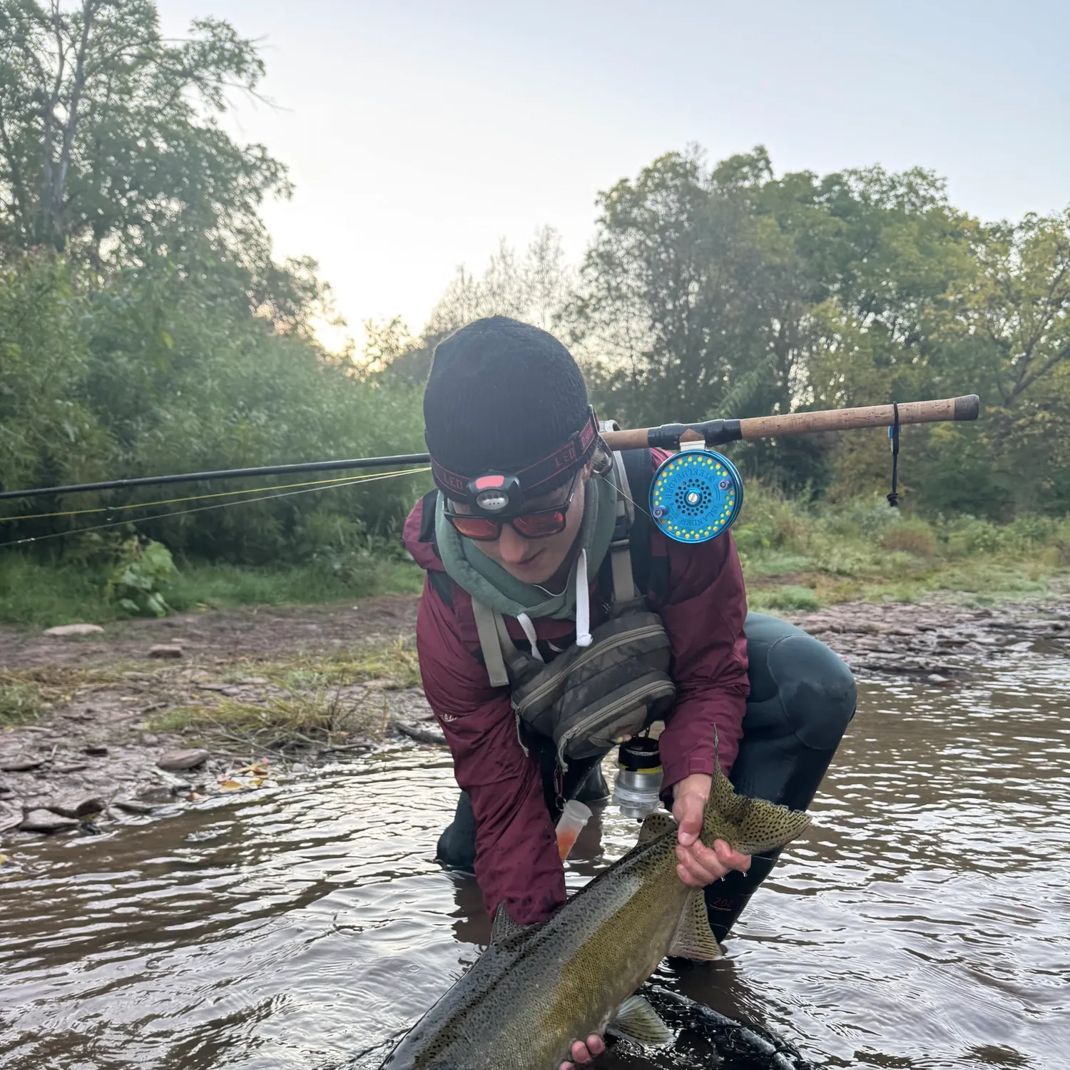 Chinook salmon caught on Fishbrain