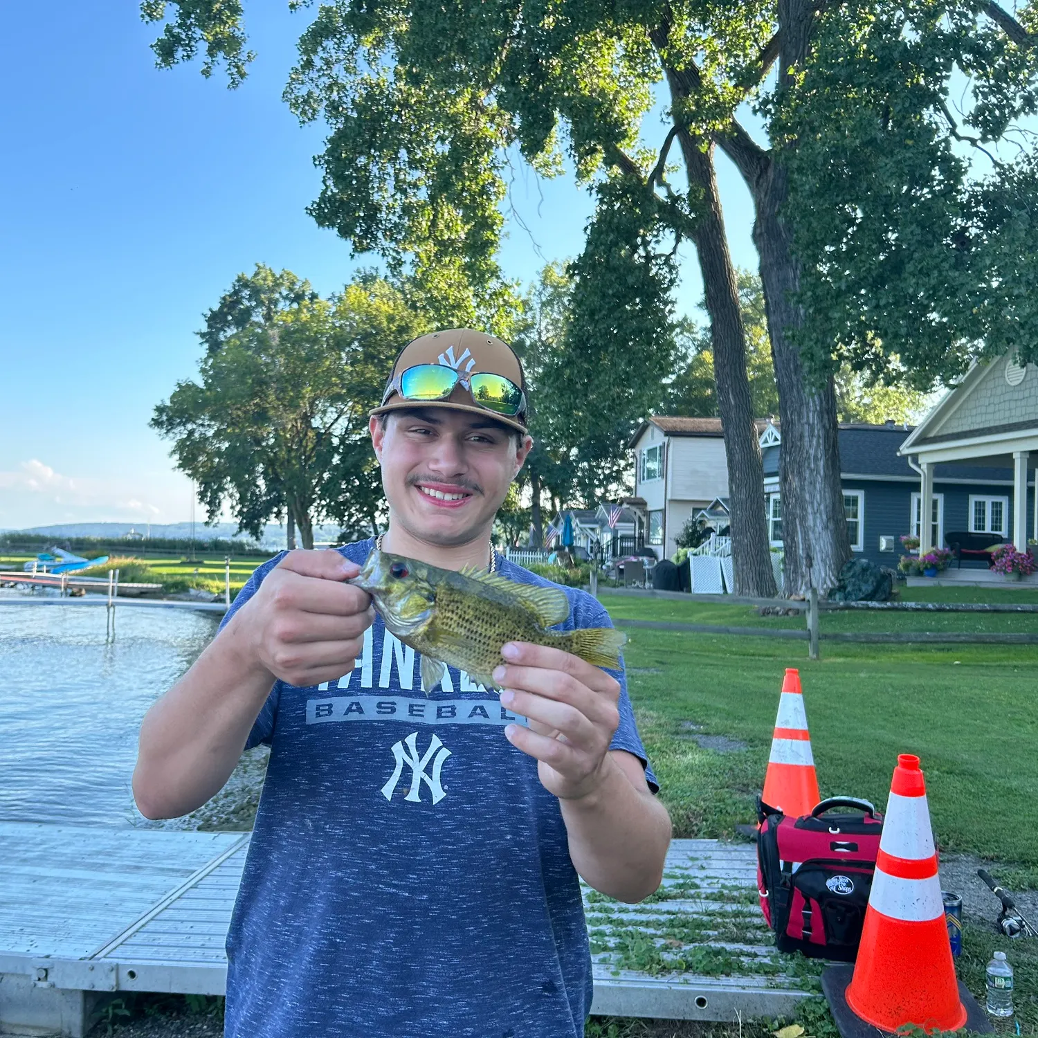 Rock bass caught on Fishbrain