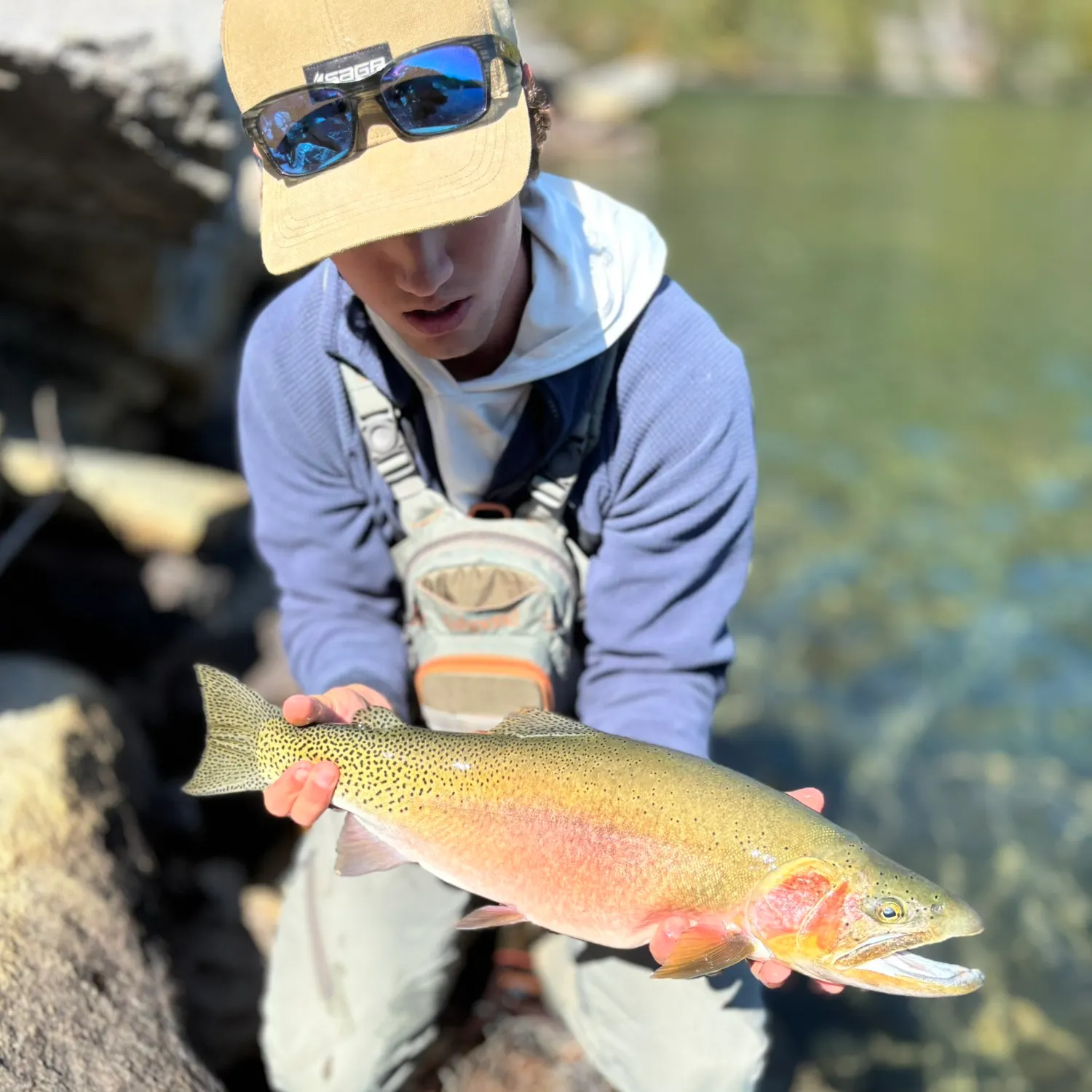 Westslope cutthroat trout caught on Fishbrain