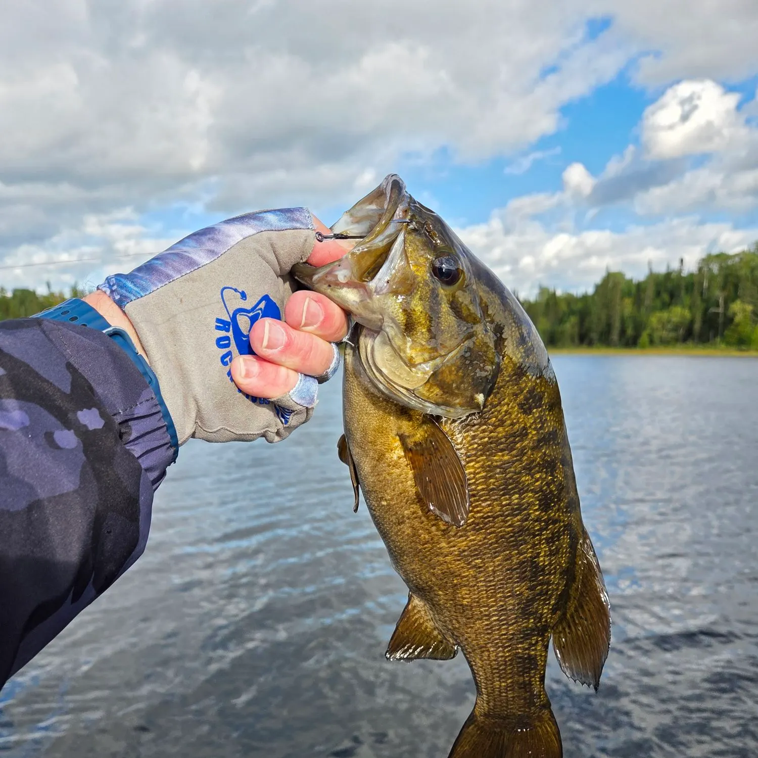 Smallmouth bass caught on Fishbrain