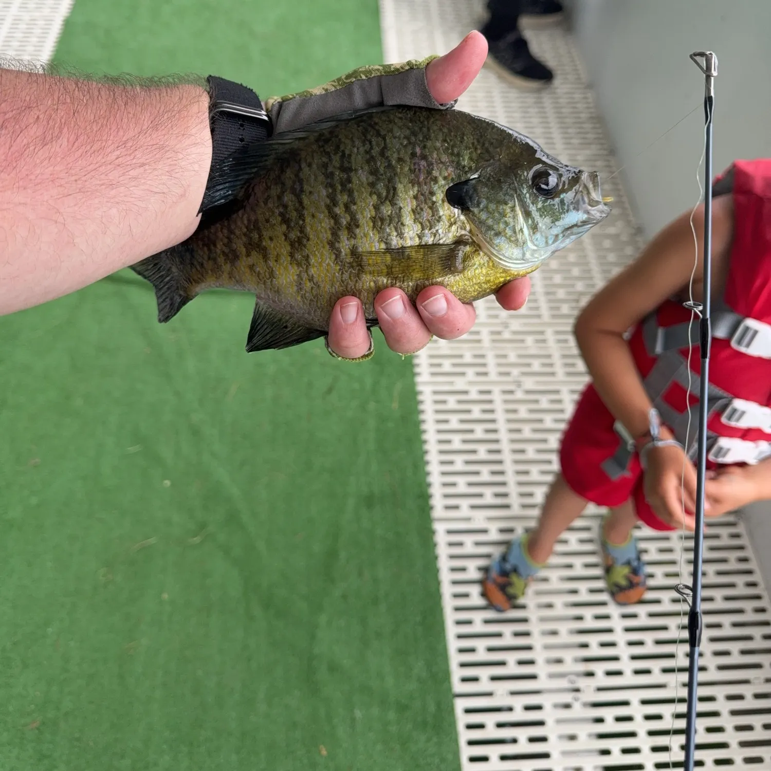 recently logged catches