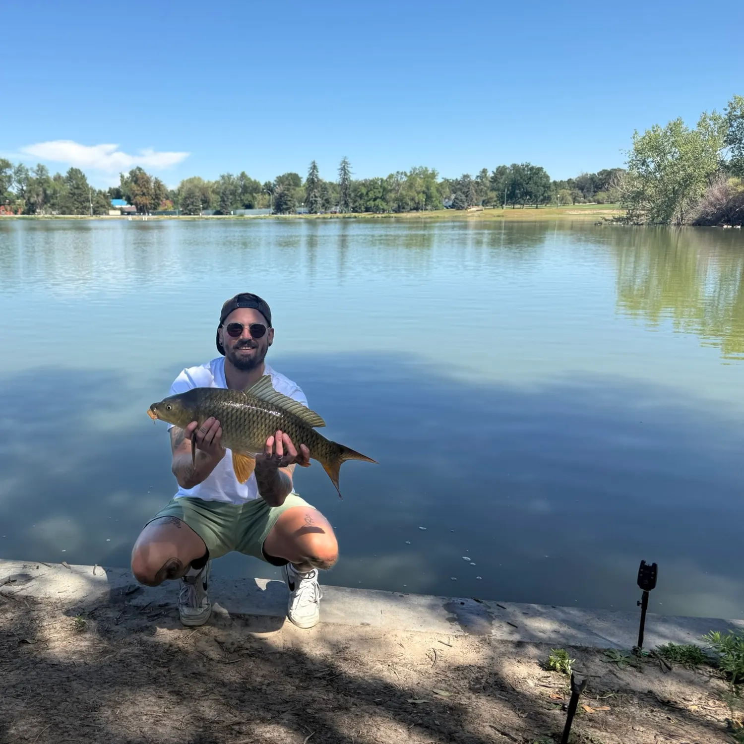 Common carp caught on Fishbrain