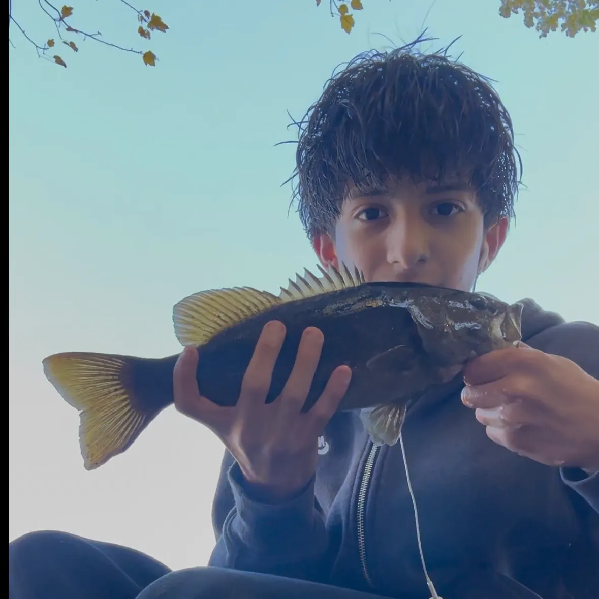 Smallmouth bass caught on Fishbrain
