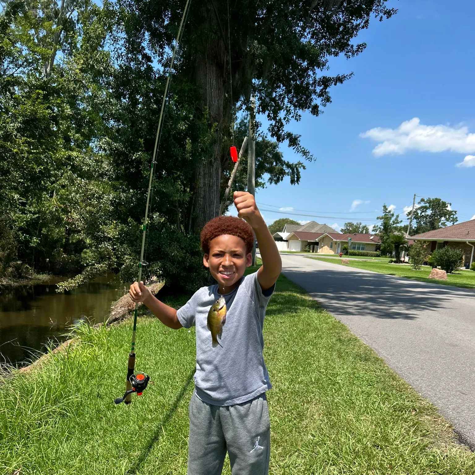 The most recent Longear sunfish catches on Fishbrain