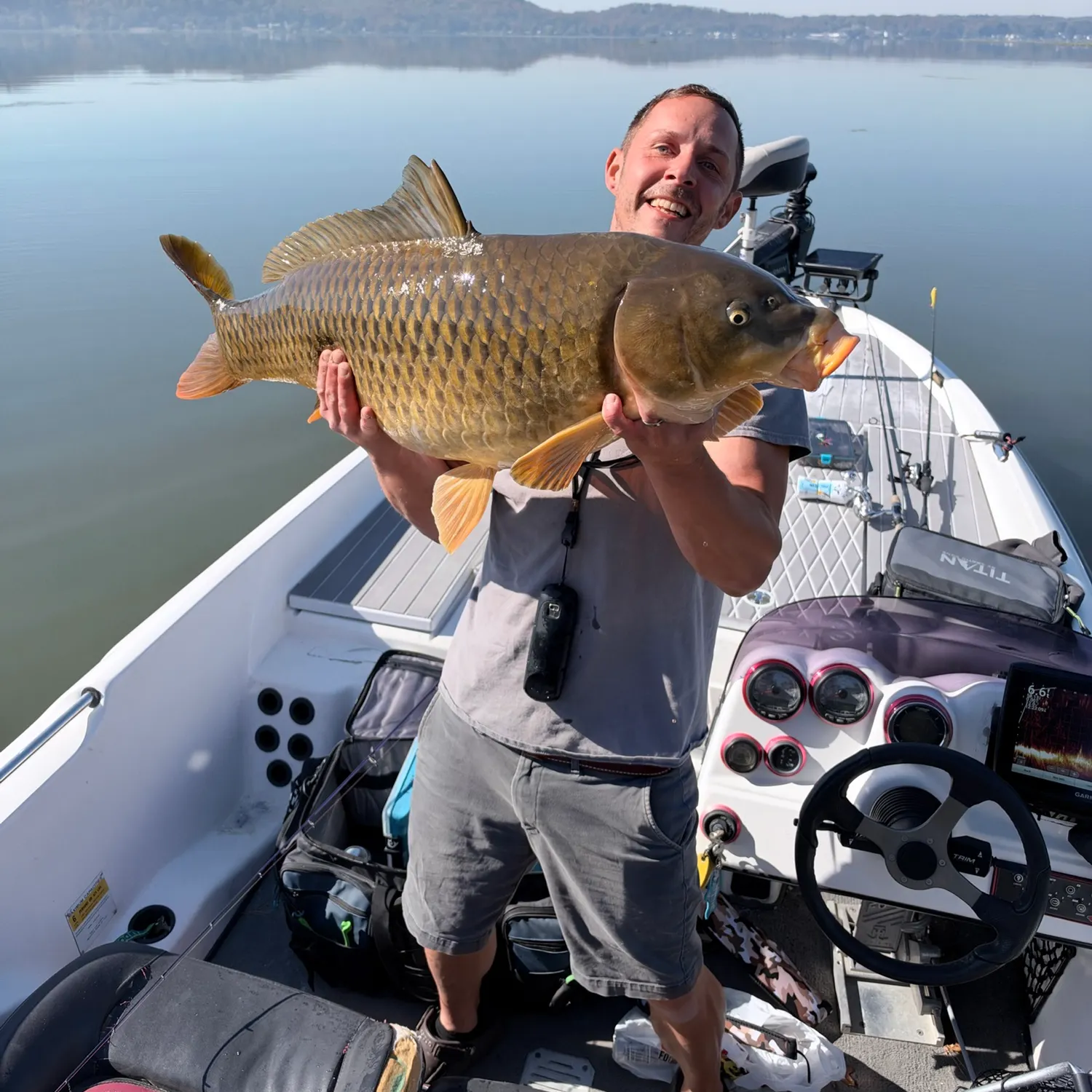 Common carp caught on Fishbrain