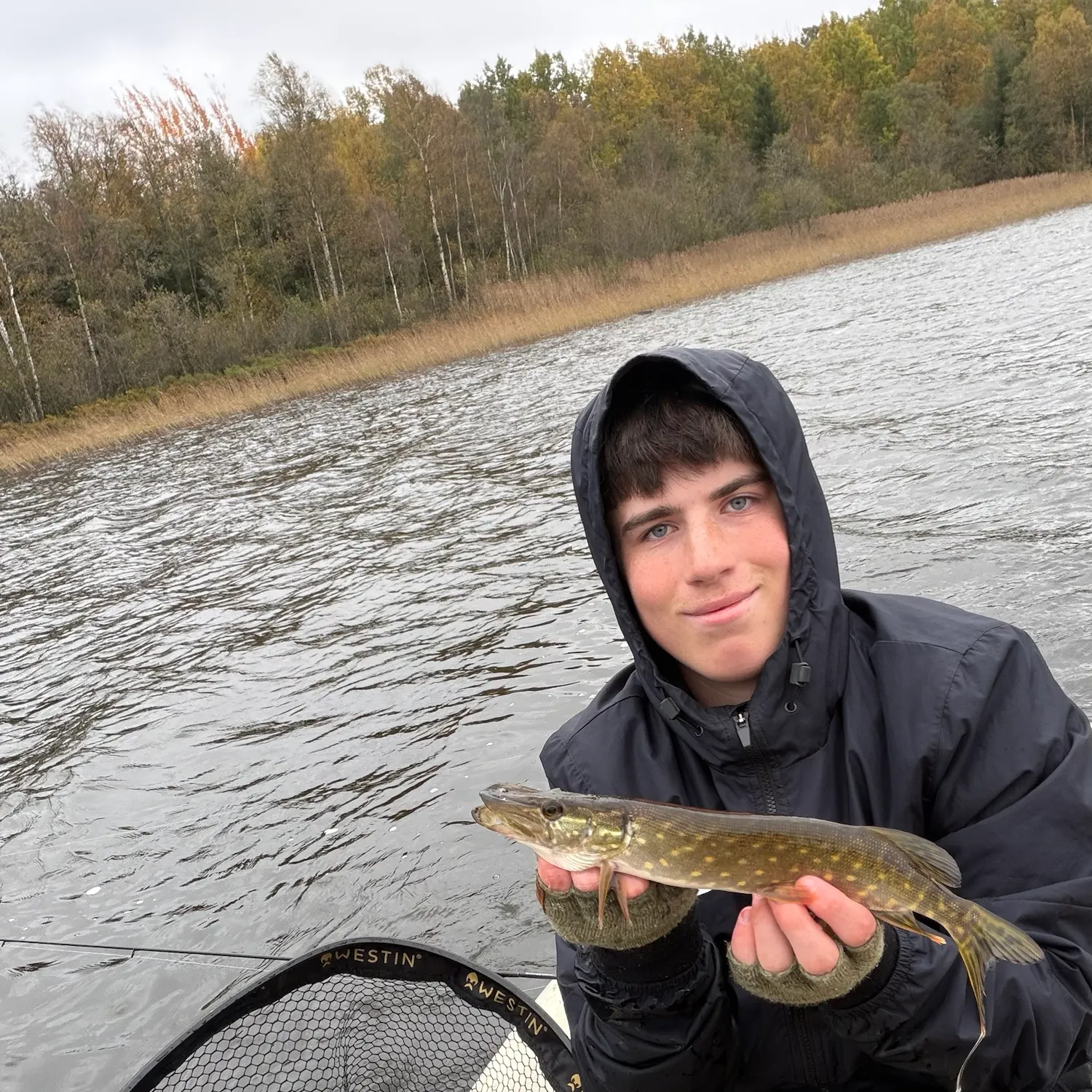 Northern pike caught on Fishbrain