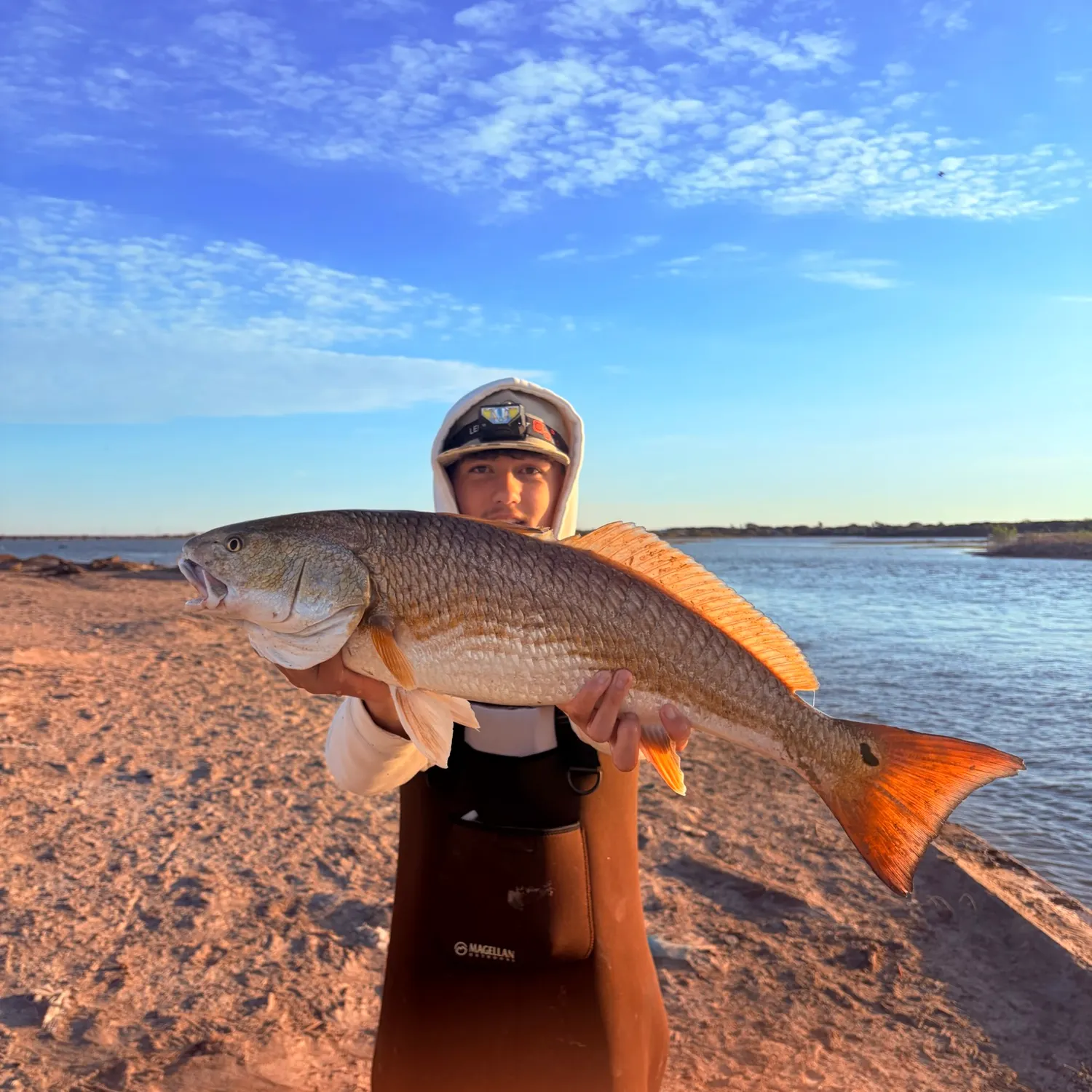 Red drum caught on Fishbrain