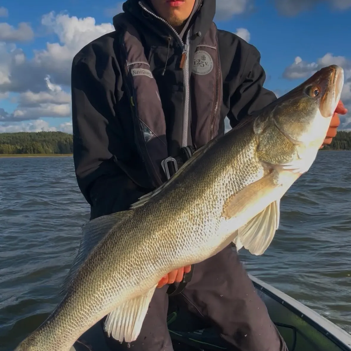 Zander caught on Fishbrain