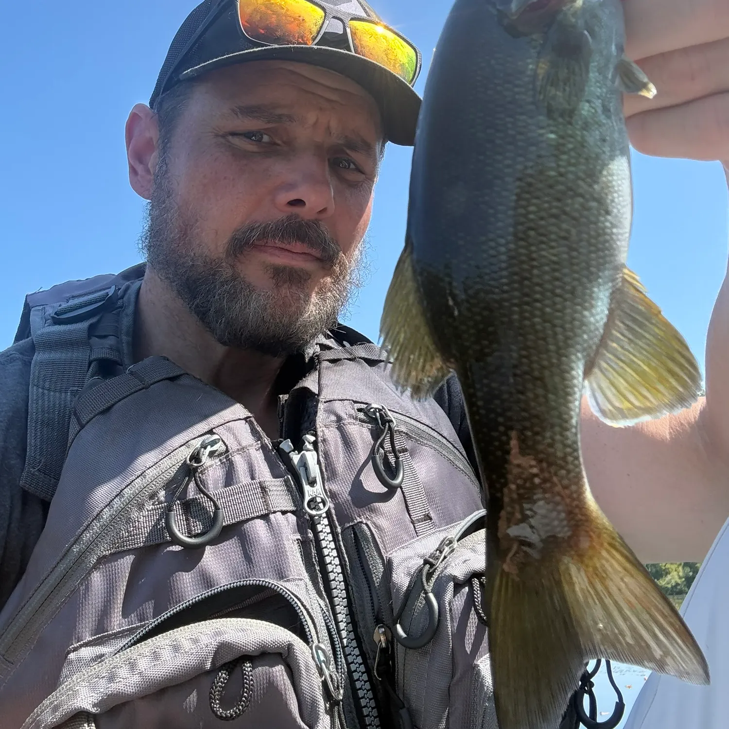 Smallmouth bass caught on Fishbrain